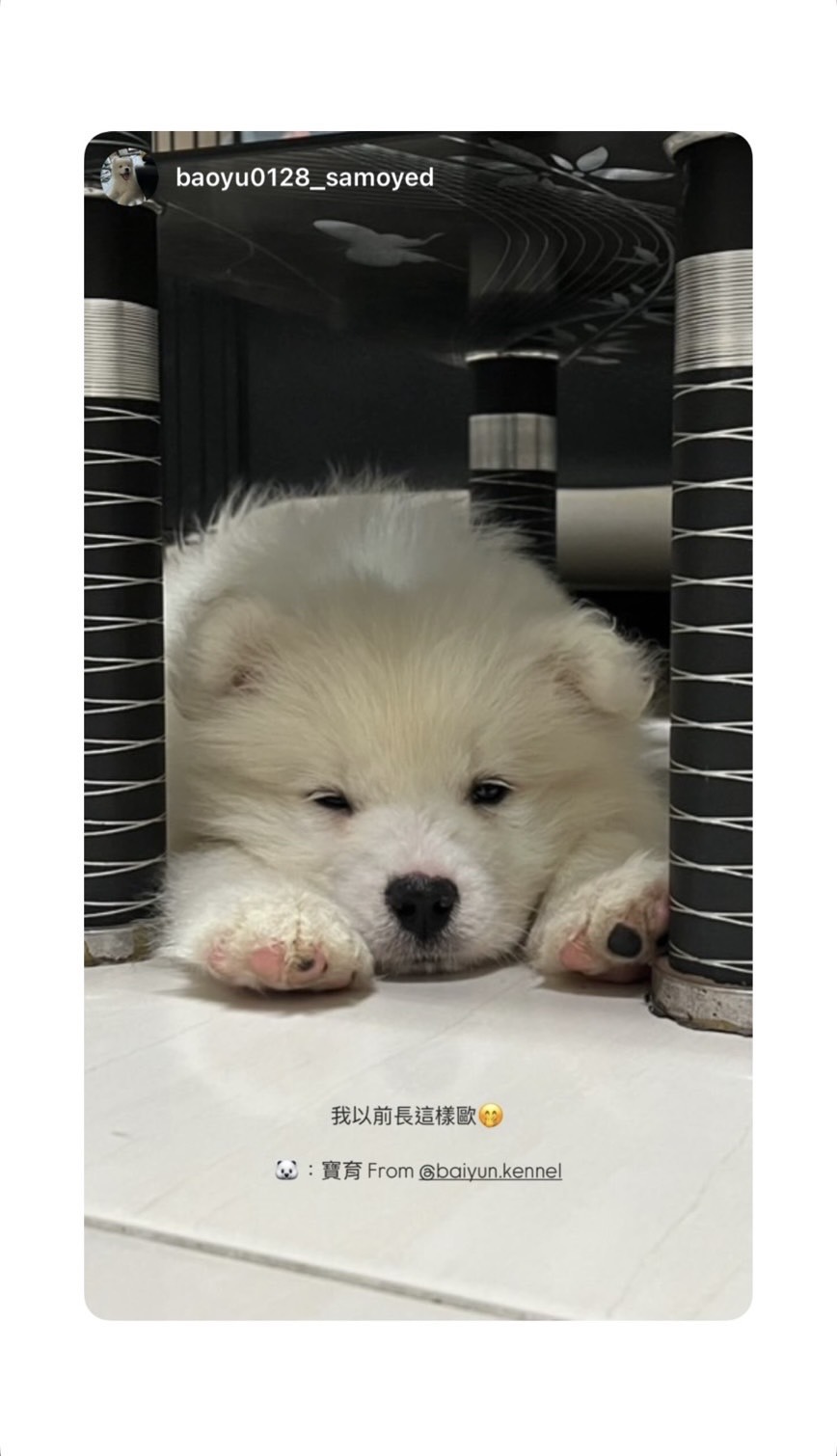 S__37904405_0